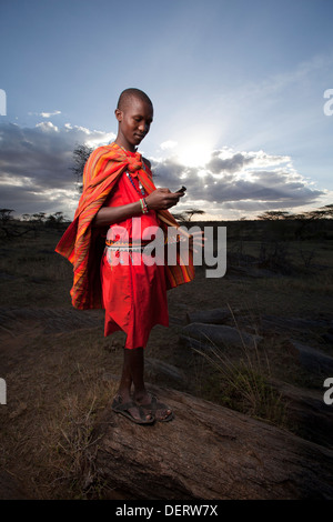 Maasai Mann senden einen Text Nachricht, Mara-Region, Kenia Stockfoto