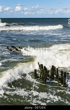 Wellenbrecher, Swetlogorsk, Russland Stockfoto