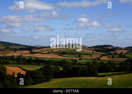 Das Tal von The River Clun von The Jack Mytton Weg Clun nahe der walisischen Grenze Shropshire, England Stockfoto