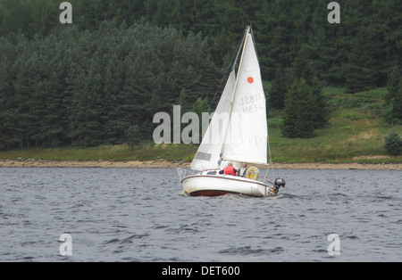 Segelboot auf Kielder Water, Wasser und Kielder Forest Park, Northumberland, England, Großbritannien Stockfoto