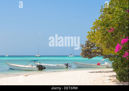 Tropischer Strand der Insel Gran Roque mit Booten, Archipel Los Roques, Venezuela Stockfoto