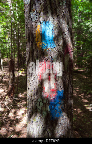 Wandern Wanderweg lodert auf einem Baumstamm gemalt. Stockfoto