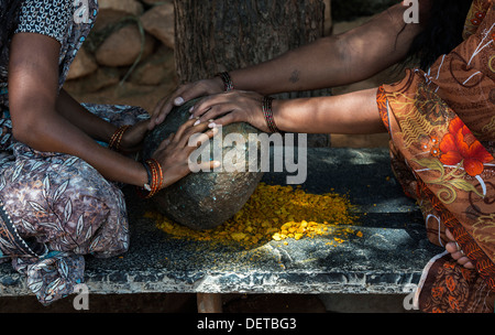 Zwei indische Frauen zerkleinern Kurkuma Wurzeln zu Pulver mit einem runden Stein in einem indischen Dorf. Andhra Pradesh, Indien Stockfoto