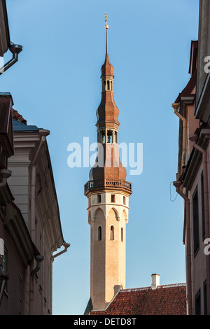 Wahrzeichen der Stadt. Turm des Rathauses in Tallinn, Estland Stockfoto