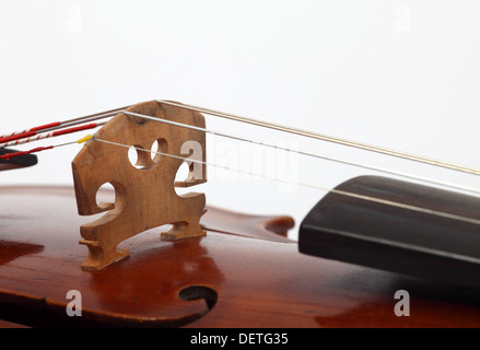 Violine, die volle Größe., Nahaufnahme Detail Brücke Stockfoto