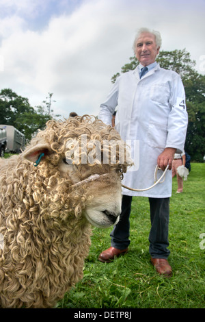 Ein Mann mit seinen Schafen auf Berkeley, Gloucestershire Aug 2013 Stockfoto