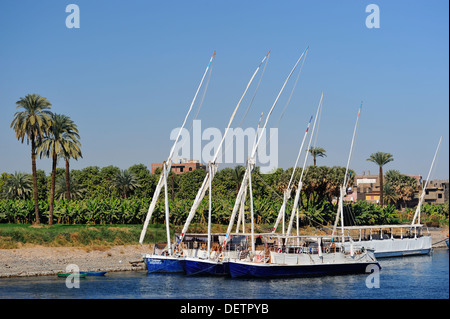 Feluken vertäut am Ufer des Nil zwischen Assuan und Luxor, Oberägypten Stockfoto