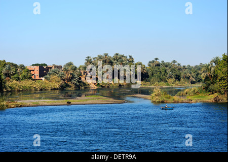 Üppigen grünen Ackerland am Ufer des Nil zwischen Assuan und Luxor, Oberägypten Stockfoto