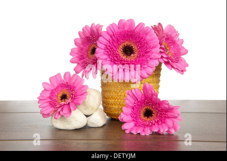 Rosa Gerbera in gelb Stroh Korb mit weißen Steinhaufen auf einem dunklen Braun Holzregal Stockfoto