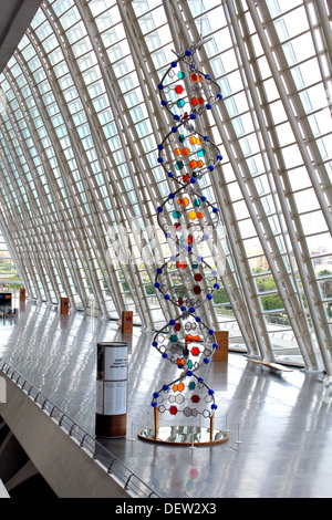 Verglasung und Glasmalerei Modell der DNA-Doppelhelix in der Wissenschaft Museum von Valencia Spanien Stockfoto