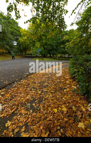 Herbstlaub und rostigen farbige Blätter im Herbst nach Glasgow, Schottland, UK 2013 bringen. Braun, Orange und rote Farben Stockfoto