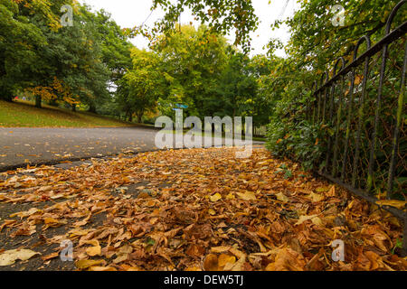 Herbstlaub und rostigen farbige Blätter im Herbst nach Glasgow, Schottland, UK 2013 bringen. Braun, Orange und rote Farben Stockfoto