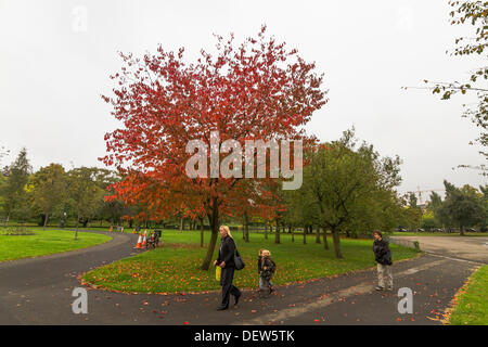 Herbstlaub und rostigen farbige Blätter im Herbst nach Glasgow, Schottland, UK 2013 bringen. Braun, Orange und rote Farben Stockfoto