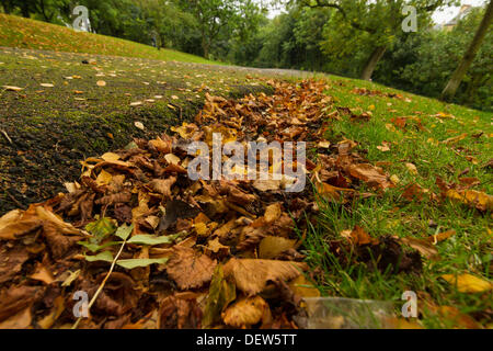 Herbstlaub und rostigen farbige Blätter im Herbst nach Glasgow, Schottland, UK 2013 bringen. Braun, Orange und rote Farben Stockfoto