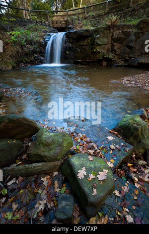 Gill, in der Nähe von Osmotherley North Yorkshire Schlag Stockfoto