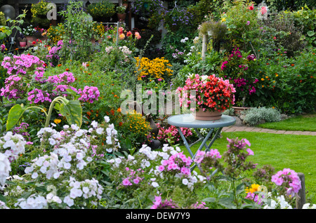 Phlox (Phlox), Begonien (Begonia semperflorens) und Tagetes (Tagetes) Stockfoto