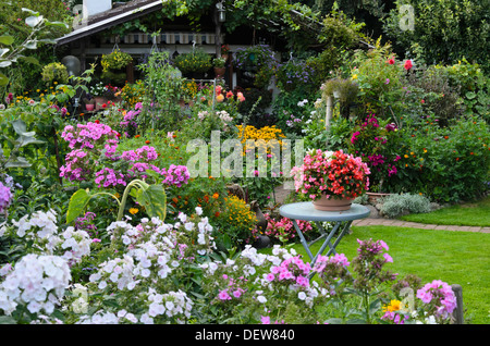 Phlox (Phlox), Begonien (Begonia semperflorens) und Tagetes (Tagetes) Stockfoto