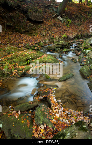 Gill, in der Nähe von Osmotherley North Yorkshire Schlag Stockfoto