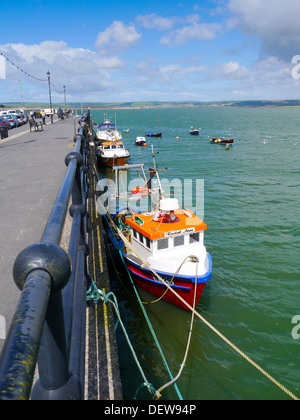 Angelboote/Fischerboote vertäut Kai in Appledore auf der Taw Torridge Mündung, Devon, England, UK Stockfoto