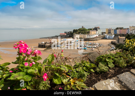 Nordstrand Tenby Pembrokeshire. Hafen bei Ebbe mit festgemachten Boote Andregency Reihenhaus Häuser in Pastellfarben. Stockfoto