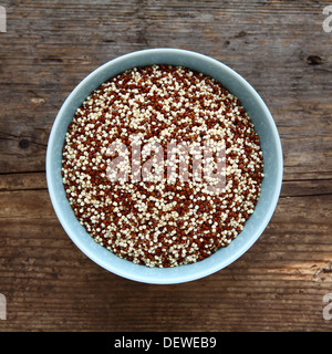Quinoa rot-weiße Samen roh In eine leichte blaue Schüssel Quinoa, ein Essen-Ersatz-Korn Weizen Getreide und ist glutenfrei Stockfoto