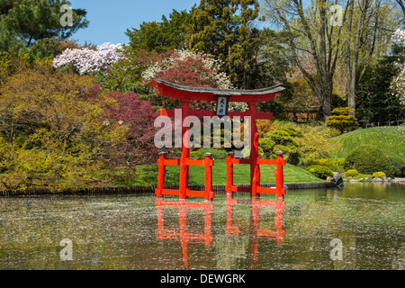 CHERRY BLOSSOMS TORII TOR JAPANISCHER GARTEN BROOKLYN BOTANICAL GARDEN NEW YORK CITY USA Stockfoto