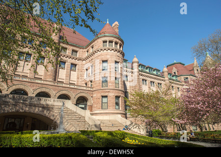 AMERICAN MUSEUM OF NATURAL HISTORY UPPER WESTSIDE MANHATTAN NEW YORK CITY USA Stockfoto