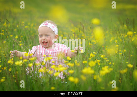 Baby auf Butterblume Gebiet. Stockfoto