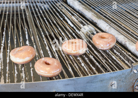 Donuts auf automatisierte Förderstrecke Produktion bei einem Krispy Kreme speichern Stockfoto