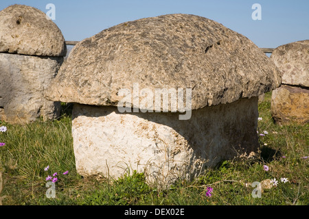 Europa, Italien, Latium, Tarquinia, Nekropole des Monte Calvario, Nekropole Villa Bruschi falgari Stockfoto