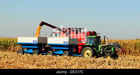 Case IH 2388 Mähdrescher ernten Mais Stockfoto