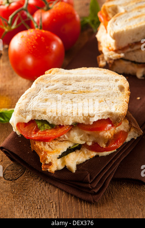 Hausgemachte Tomaten-Mozzarella Panini mit Basilikum Stockfoto