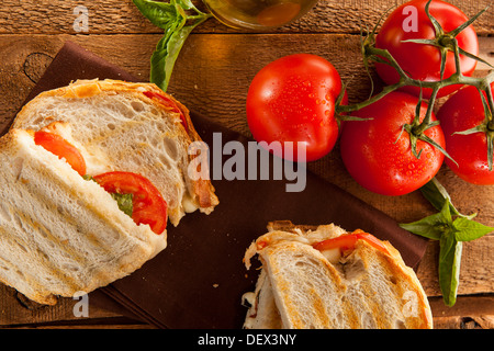 Hausgemachte Tomaten-Mozzarella Panini mit Basilikum Stockfoto