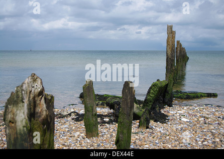 Buhnen, Minnis Bucht, Kent Stockfoto