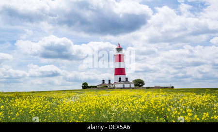 Buntes Feld und Happisburgh Leuchtturm North Norfolk England UK Europe Stockfoto