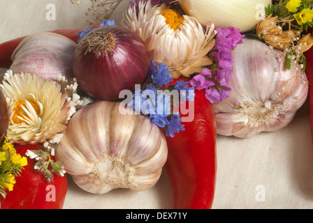 Mischung aus Gemüse - Knoblauch, Zwiebeln, Chili und getrockneten Blüten Stockfoto