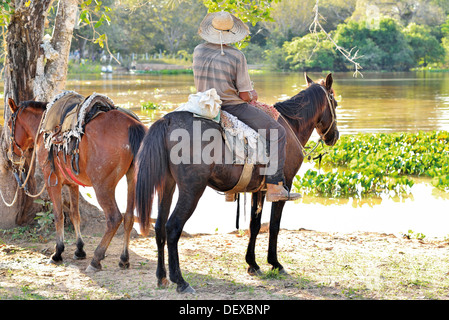 Brasilien, Pantanal: Mann und zwei Pferde am Ufer des Rio Claro Stockfoto