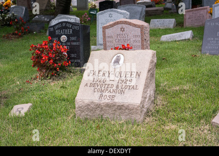 Grabsteine für die geliebten Haustiere Besitzer in Hartsdale Pet Cemetery in Hartsdale in Westchester County New York State Stockfoto