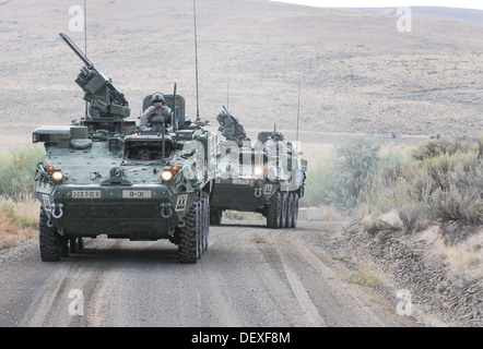 US-Soldaten mit der 5. Bataillon, 20. Infanterie-Regiment, 3rd Stryker Brigade Combat Team, 2. US-Infanteriedivision, statt auf die Straße während einer gemeinsamen Zug Übung bei der Yakima Training Center, Washington, 16. September 2013. Steigende Thunder ist ein US Armee-Gastgeber Stockfoto