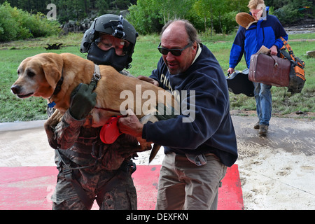 US Armee Sgt. 1. Klasse Keith Bart, ein UH-60 Black Hawk Hubschrauber Crewchief mit Charlie Kompanie, 2. General Support Aviation Battalion, 4th Aviation Regiment, 4. Combat Aviation Brigade, 4. US-Infanteriedivision, trägt ein Tier für die Sicherheit während der Flut Stockfoto