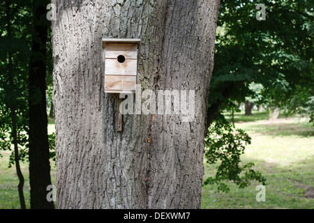 Vogelhaus hängen an dem großen Baum Stockfoto