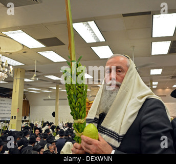 Einen religiösen jüdischen Mann mit weißem Bart hält eine Esrog und Lulaw am Morgengebet in Crown Heights, Brooklyn, NY Stockfoto