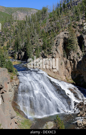 Gibbon Falls im Yellowstone-Nationalpark, Wyoming, USA Stockfoto