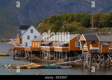 Die gelben Rorbuer Hütten, Fischerorten des winzigen Dorfes Sakrisøy in den frühen Morgenstunden, Sakrisøy, Sakrisoy, Insel Moskenesøy Stockfoto