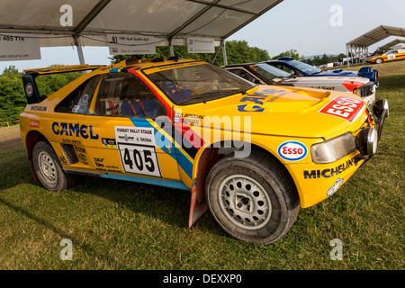 1985-Peugeot 405 T16 Dakar-Rallye-Auto auf der Koppel beim Goodwood Festival of Speed, Sussex, UK. Stockfoto