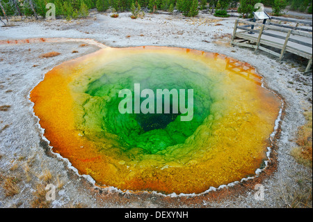 Morning Glory Pool, eine heiße Quelle in Upper Geyser Basin, Yellowstone-Nationalpark, Wyoming, USA Stockfoto
