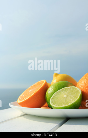 Orangen, Zitronen und Limetten an der Küste Stockfoto