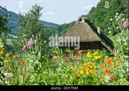 Reetgedeckte Mühle mit einem Bauerngarten, Oberprechtal in Elzach, Schwarzwald, Baden-Württemberg Stockfoto