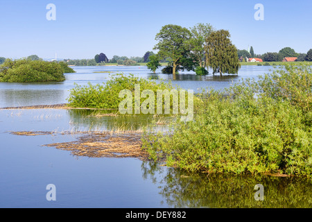 Elbe-Hochwasser im Jahr 2013 in alten engen Krankenschwester, 4 und sumpfige Land, Hamburg, Deutschland, Europa, Elbe-Flut 2013 in Altengamme, Vier-Und Mar Stockfoto