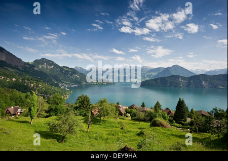 Blick über den Vierwaldstättersee, in der Nähe von Weggis, Kanton Luzern, Schweiz, Europa Stockfoto